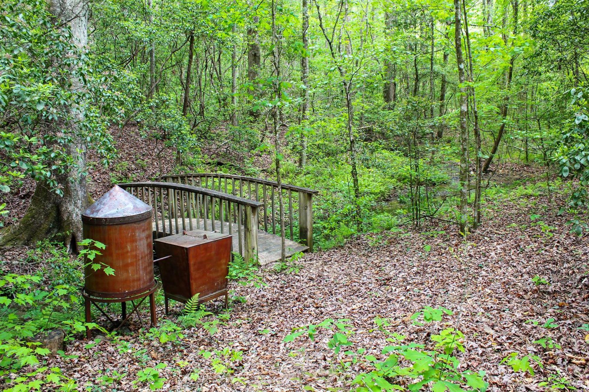 Sautee Nacoochee Mtn Paradise With Spacious Deck! Bagian luar foto